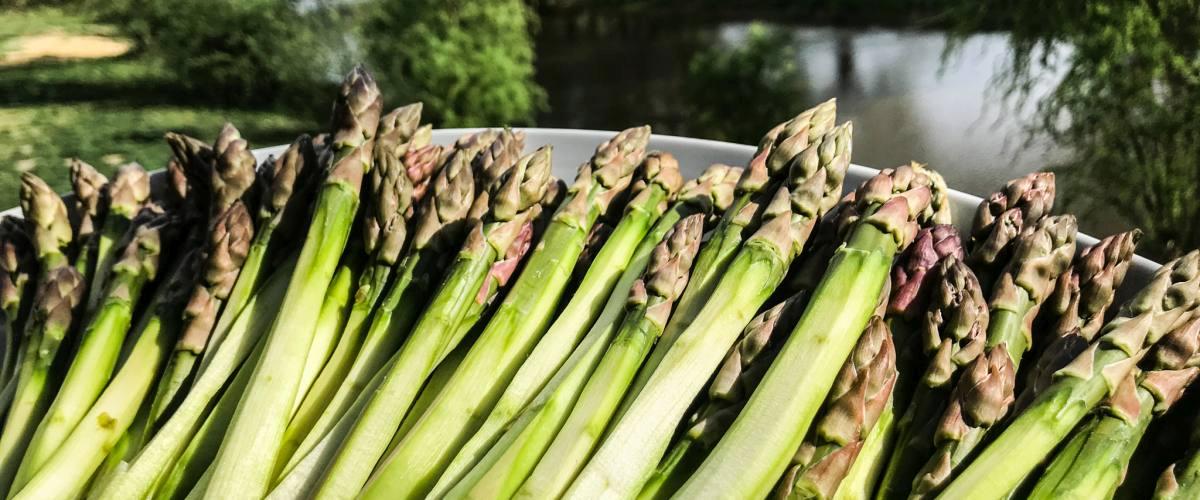 Ryb� restaurace - Ch�estov� menu